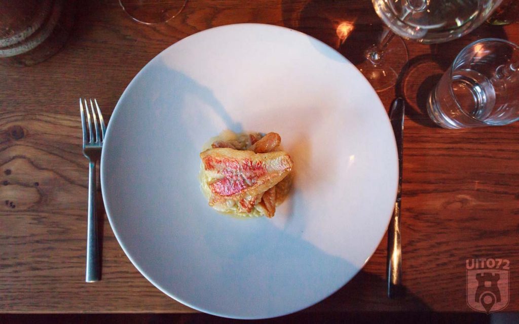 Seasons Alkmaar: rode mul