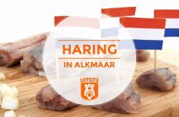 Haring in Alkmaar