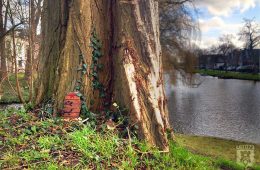 Elfendeurtje Kennemerpark Alkmaar