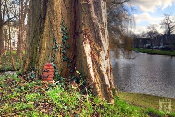 Elfendeurtje Kennemerpark Alkmaar