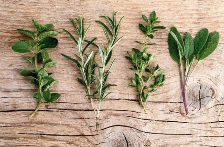 Italiaanse avond Granada