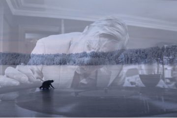 Europese Film4daagse 2017