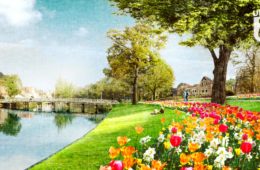 Bloemen in Clarissenbolwerk, Alkmaar