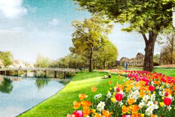 Bloemen in Clarissenbolwerk, Alkmaar