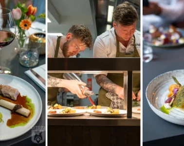 Fnidsen header (collage)