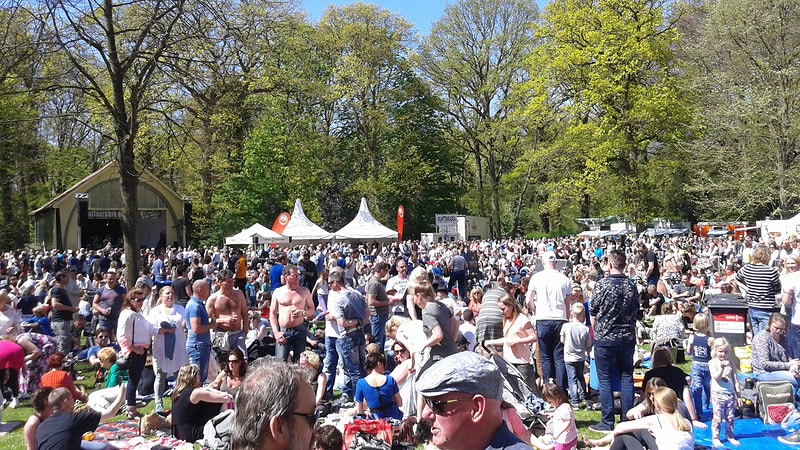 De Hout Rocks