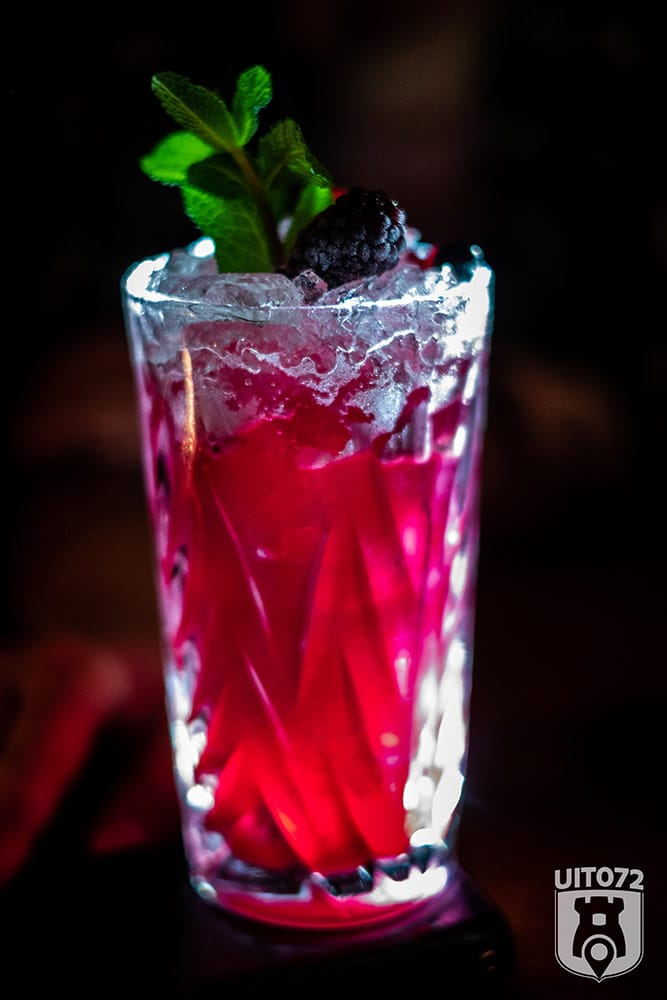 nola-blueberry-garden