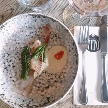 Amusetour Alkmaar - Vito