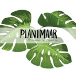 Groene markt Plantmaar