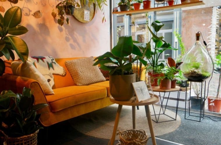 Bloosom - het leukste groene winkeltje