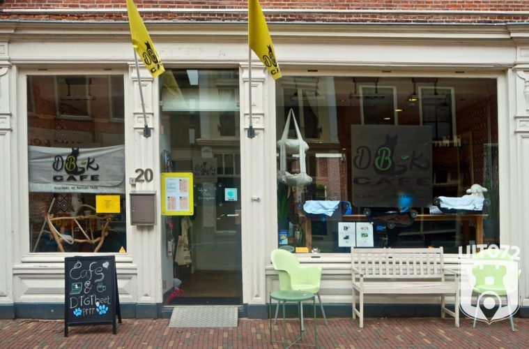 uit072 prachtstraatjes alkmaar kattencafe