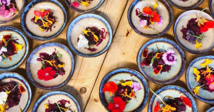 Noorderlicht - Kombucha, appel macadamia