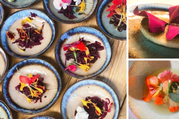 Noorderlicht - End of Season