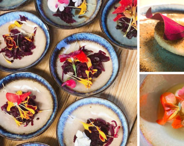 Noorderlicht - End of Season