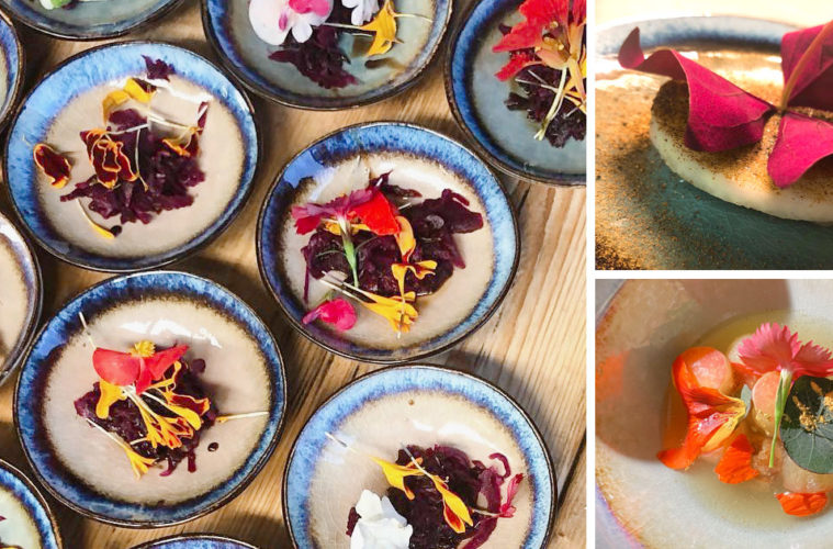 Noorderlicht - End of Season