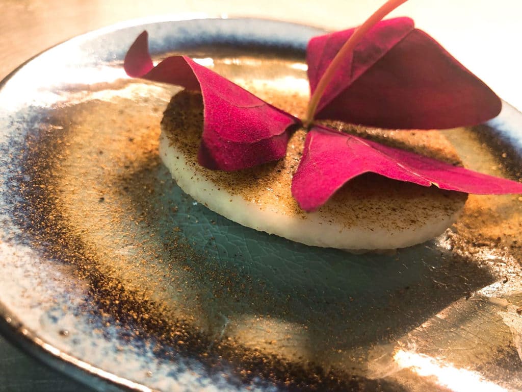 Langoustine - rabi - boleet - duindoorn