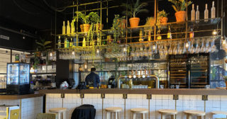 Bitemark Alkmaar (bar)