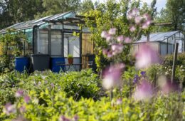 Een plaatje: moestuinieren in de lente