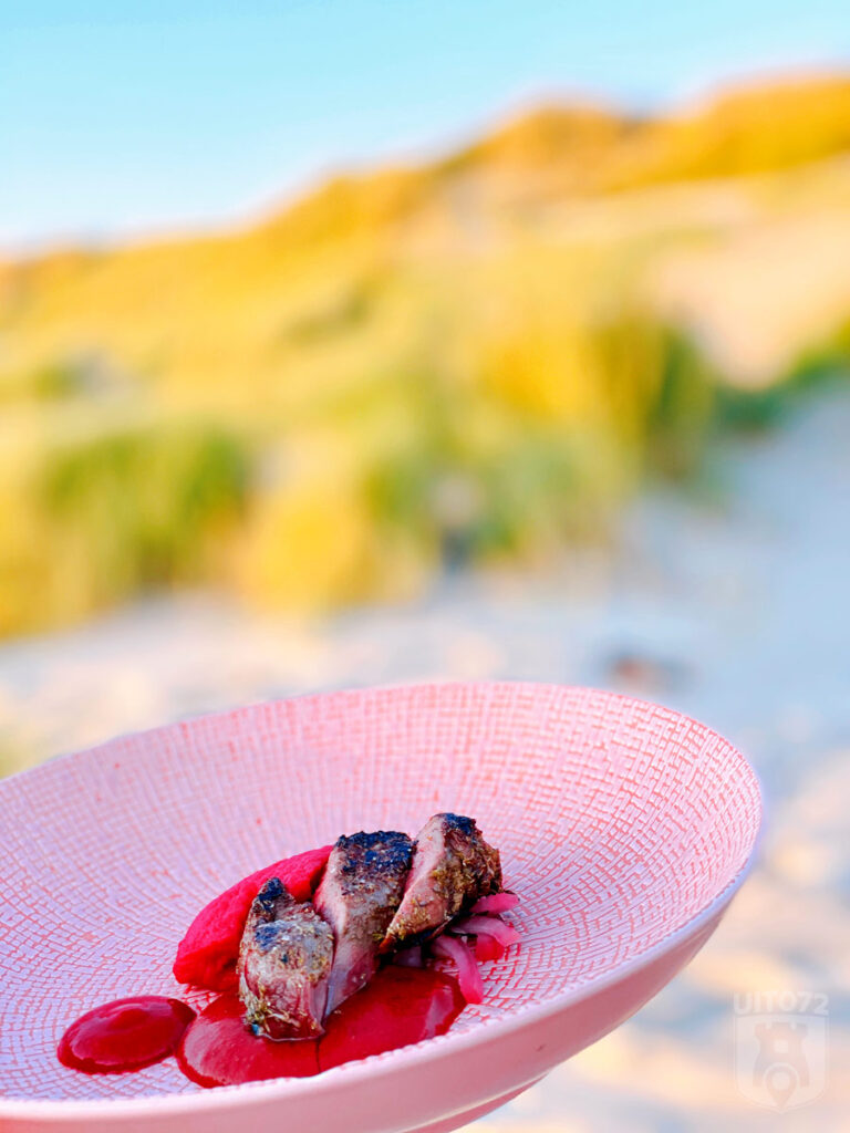 Poldergans (Neder × Noorderlicht)