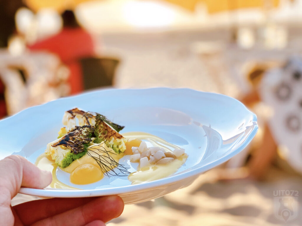 Verbrande romanesco met een crème van gele bloemkool en gele appel, gefermenteerde appelmoes, tartaar van scheermes, emulsie van gerookte boter en bronzen venkel (Neder × Noorderlicht)