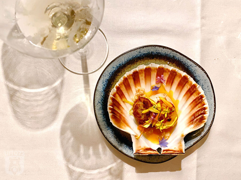 Coquille | duindoorn | amandel | roos | brooddeeg