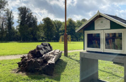 Mini bibliotheek in park De Kleine Kwekerij (Alkmaar)