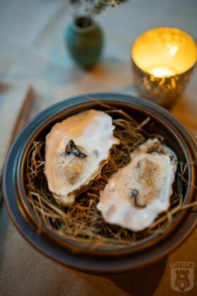 neder-alkmaar-oesters